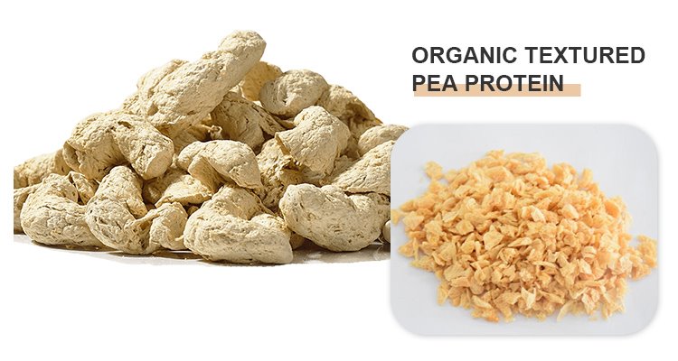 Textured Pea Protein.jpg